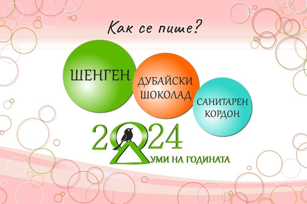 Кои са знаковите думи и изрази на 2024 година за България?